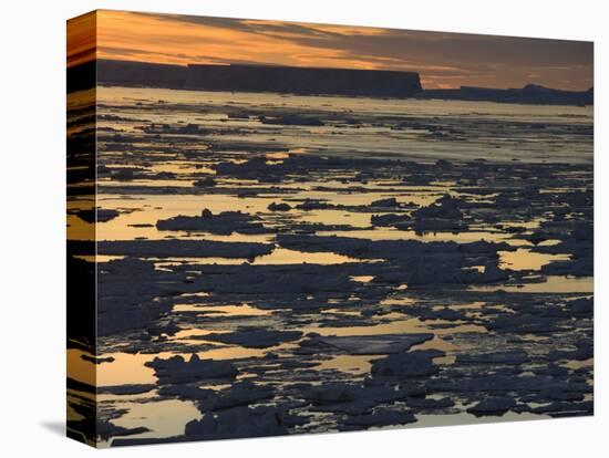 Pack Ice, Antarctic Peninsula, Weddell Sea, Antarctica, Polar Regions-Thorsten Milse-Stretched Canvas