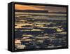 Pack Ice, Antarctic Peninsula, Weddell Sea, Antarctica, Polar Regions-Thorsten Milse-Framed Stretched Canvas