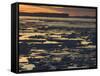 Pack Ice, Antarctic Peninsula, Weddell Sea, Antarctica, Polar Regions-Thorsten Milse-Framed Stretched Canvas