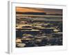 Pack Ice, Antarctic Peninsula, Weddell Sea, Antarctica, Polar Regions-Thorsten Milse-Framed Photographic Print