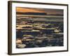 Pack Ice, Antarctic Peninsula, Weddell Sea, Antarctica, Polar Regions-Thorsten Milse-Framed Photographic Print