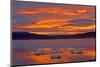 Pack ice at sunset, Wrangel island, Far East Russia.-Sylvain Cordier-Mounted Photographic Print
