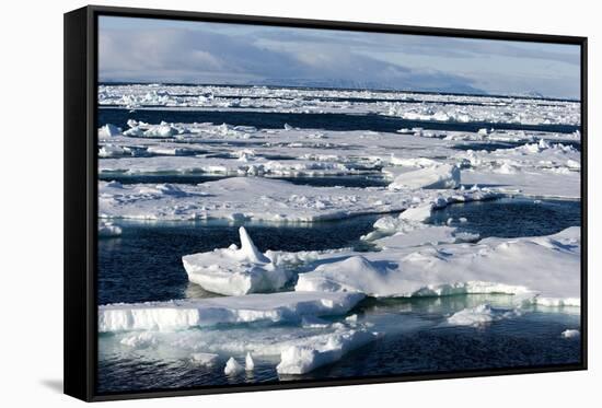 Pack Ice, Spitsbergen, Svalbard, Norway, Scandinavia, Europe-Thorsten Milse-Framed Stretched Canvas