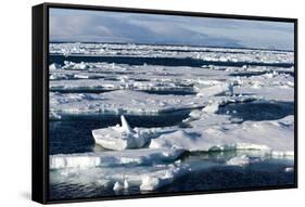 Pack Ice, Spitsbergen, Svalbard, Norway, Scandinavia, Europe-Thorsten Milse-Framed Stretched Canvas