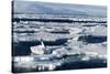 Pack Ice, Spitsbergen, Svalbard, Norway, Scandinavia, Europe-Thorsten Milse-Stretched Canvas