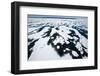 Pack Ice, Spitsbergen, Svalbard, Norway, Scandinavia, Europe-Thorsten Milse-Framed Photographic Print