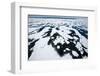 Pack Ice, Spitsbergen, Svalbard, Norway, Scandinavia, Europe-Thorsten Milse-Framed Photographic Print