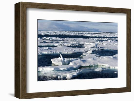 Pack Ice, Spitsbergen, Svalbard, Norway, Scandinavia, Europe-Thorsten Milse-Framed Photographic Print