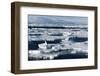 Pack Ice, Spitsbergen, Svalbard, Norway, Scandinavia, Europe-Thorsten Milse-Framed Photographic Print