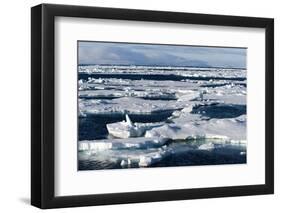 Pack Ice, Spitsbergen, Svalbard, Norway, Scandinavia, Europe-Thorsten Milse-Framed Photographic Print