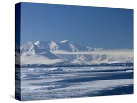 Pack Ice, Weddell Sea, Antarctic Peninsula, Antarctica, Polar Regions-Thorsten Milse-Stretched Canvas
