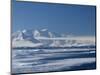 Pack Ice, Weddell Sea, Antarctic Peninsula, Antarctica, Polar Regions-Thorsten Milse-Mounted Photographic Print