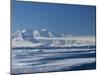 Pack Ice, Weddell Sea, Antarctic Peninsula, Antarctica, Polar Regions-Thorsten Milse-Mounted Photographic Print