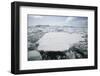 Pack Ice-DLILLC-Framed Photographic Print