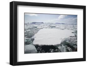 Pack Ice-DLILLC-Framed Photographic Print