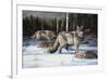 Pack Leaders-Trevor V. Swanson-Framed Giclee Print