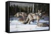 Pack Leaders-Trevor V. Swanson-Framed Stretched Canvas