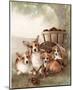 Pack of Corgis (Apples) Art Print Poster-null-Mounted Poster