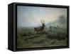 Pack of Deer in Foggy Mountain Landscape, 1875-Maria-Rosa Bonheur-Framed Stretched Canvas