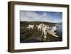 Pack of Sled Dogs-null-Framed Photographic Print