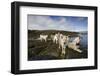 Pack of Sled Dogs-null-Framed Photographic Print