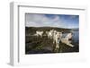 Pack of Sled Dogs-null-Framed Photographic Print