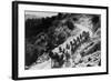 Pack of Team Mules Going through Sonora Pass-null-Framed Photographic Print