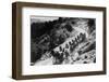 Pack of Team Mules Going through Sonora Pass-null-Framed Photographic Print