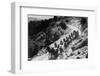 Pack of Team Mules Going through Sonora Pass-null-Framed Photographic Print