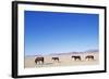 Pack of Wild Horses in Namib Desert-Paul Souders-Framed Photographic Print