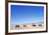 Pack of Wild Horses in Namib Desert-Paul Souders-Framed Photographic Print