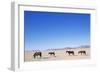 Pack of Wild Horses in Namib Desert-Paul Souders-Framed Photographic Print