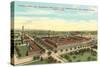Packard Plant, Detroit, Michigan-null-Stretched Canvas
