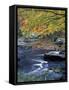 Packers Falls on the Lamprey River, New Hampshire, USA-Jerry & Marcy Monkman-Framed Stretched Canvas