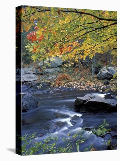 Packers Falls on the Lamprey River, New Hampshire, USA-Jerry & Marcy Monkman-Stretched Canvas