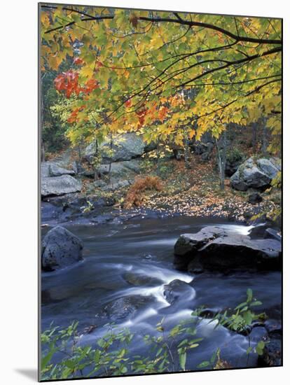 Packers Falls on the Lamprey River, New Hampshire, USA-Jerry & Marcy Monkman-Mounted Premium Photographic Print