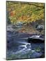 Packers Falls on the Lamprey River, New Hampshire, USA-Jerry & Marcy Monkman-Mounted Premium Photographic Print