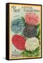 Packet of Aster Seeds-null-Framed Stretched Canvas