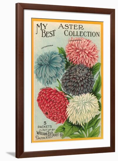 Packet of Aster Seeds-null-Framed Art Print