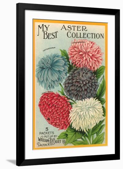 Packet of Aster Seeds-null-Framed Art Print