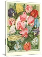 Packet of Sweet Pea Seeds-null-Stretched Canvas