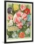 Packet of Sweet Pea Seeds-null-Framed Art Print