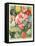 Packet of Sweet Pea Seeds-null-Framed Stretched Canvas