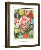 Packet of Sweet Pea Seeds-null-Framed Art Print