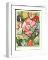 Packet of Sweet Pea Seeds-null-Framed Art Print
