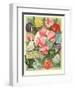 Packet of Sweet Pea Seeds-null-Framed Art Print