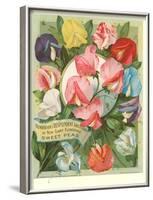 Packet of Sweet Pea Seeds-null-Framed Art Print