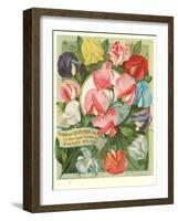 Packet of Sweet Pea Seeds-null-Framed Art Print