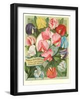 Packet of Sweet Pea Seeds-null-Framed Art Print