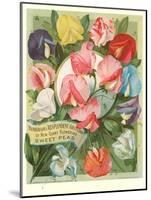 Packet of Sweet Pea Seeds-null-Mounted Art Print